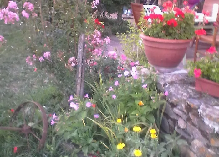 De France Lot Dordogne 3 Epis